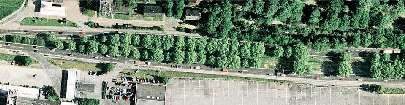 Noch 2006 erlebbar: ziemlich gute Allee östlich Schnettkerbrücke